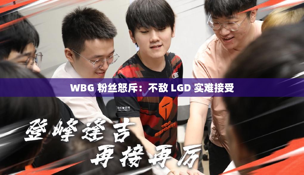 WBG 粉丝怒斥：不敌 LGD 实难接受