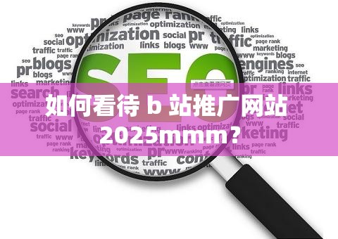 如何看待 b 站推广网站 2025mmm？