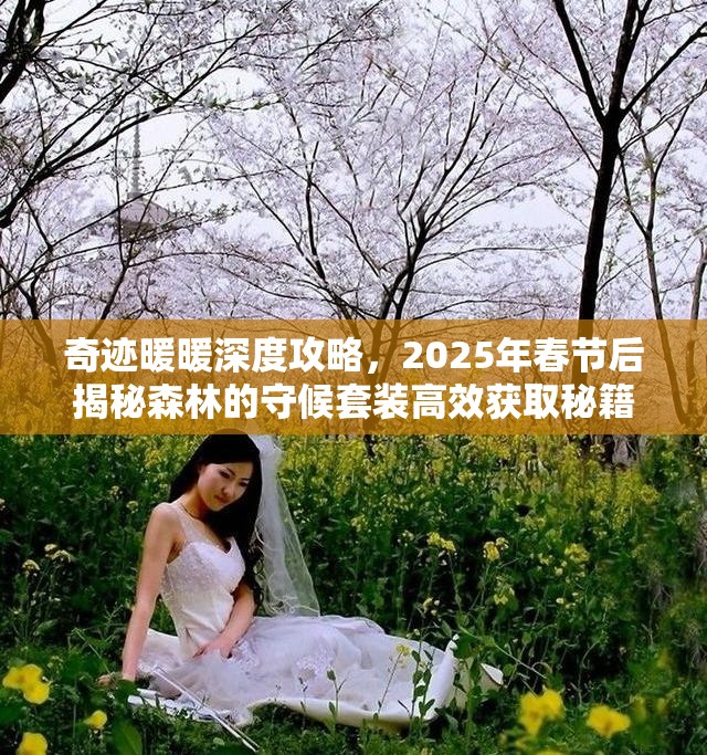 奇迹暖暖深度攻略，2025年春节后揭秘森林的守候套装高效获取秘籍