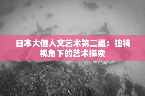 日本大但人文艺术第二组：独特视角下的艺术探索