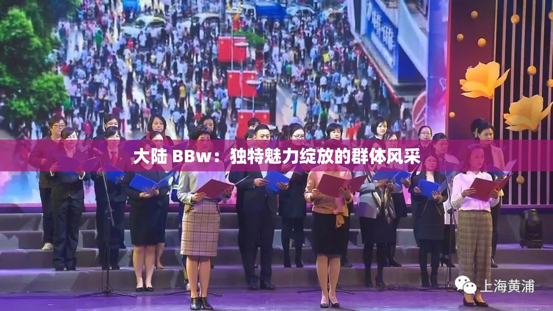 大陆 BBw：独特魅力绽放的群体风采