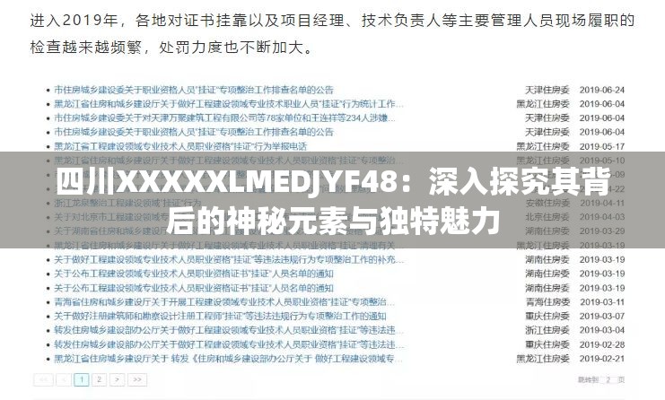 四川XXXXXLMEDJYF48：深入探究其背后的神秘元素与独特魅力