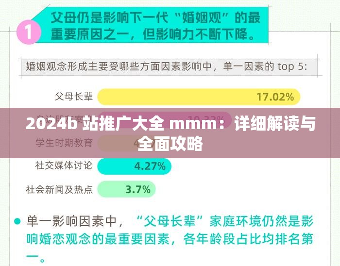 2024b 站推广大全 mmm：详细解读与全面攻略