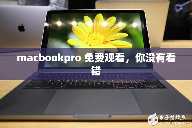 macbookpro 免费观看，你没有看错