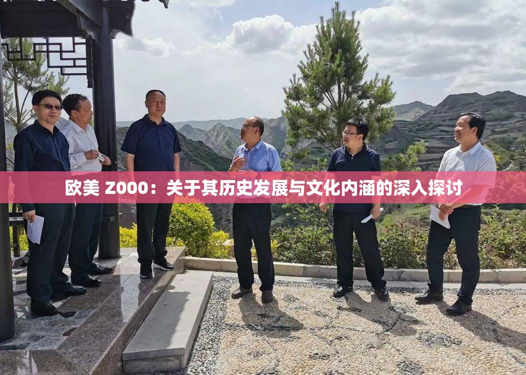 欧美 Z000：关于其历史发展与文化内涵的深入探讨