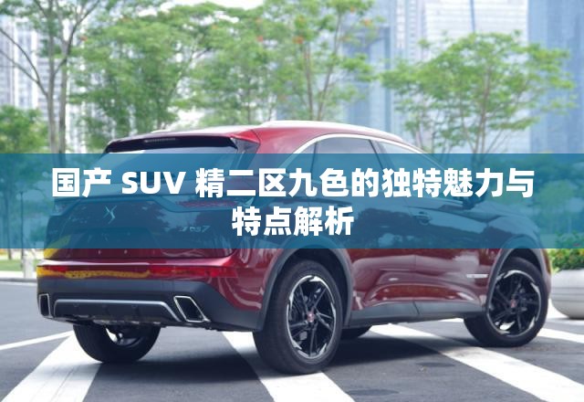 国产 SUV 精二区九色的独特魅力与特点解析