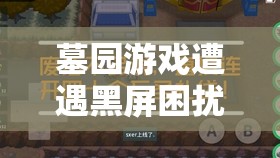 墓园游戏遭遇黑屏困扰？别担心，这里有专业妙招助你快速解决！