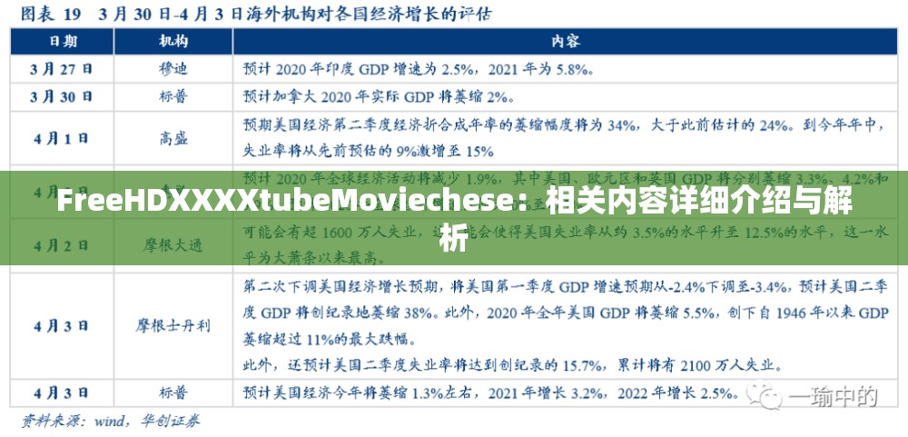 FreeHDXXXXtubeMoviechese：相关内容详细介绍与解析