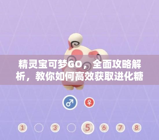 精灵宝可梦GO，全面攻略解析，教你如何高效获取进化糖果