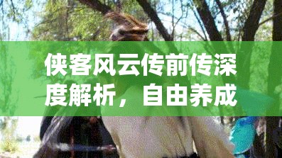 侠客风云传前传深度解析，自由养成系统资源管理、高效技巧与价值最大化策略