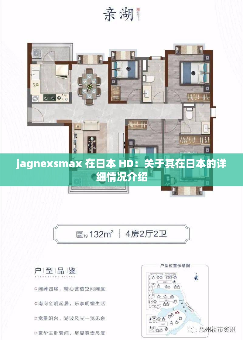 jagnexsmax 在日本 HD：关于其在日本的详细情况介绍