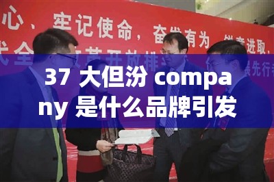 37 大但汾 company 是什么品牌引发的热议探讨