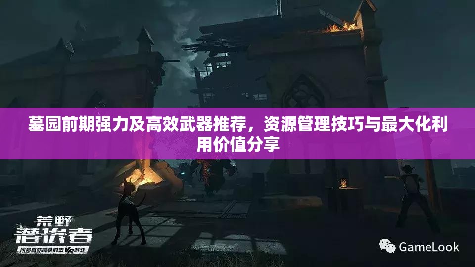 墓园前期强力及高效武器推荐，资源管理技巧与最大化利用价值分享