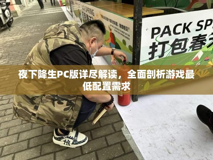 夜下降生PC版详尽解读，全面剖析游戏最低配置需求