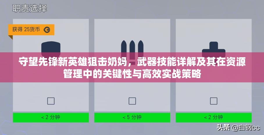 守望先锋新英雄狙击奶妈，武器技能详解及其在资源管理中的关键性与高效实战策略