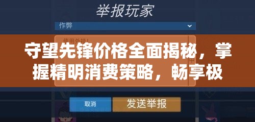 守望先锋价格全面揭秘，掌握精明消费策略，畅享极致游戏体验