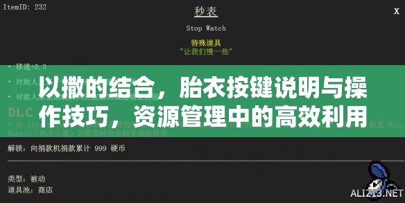 以撒的结合，胎衣按键说明与操作技巧，资源管理中的高效利用策略解析