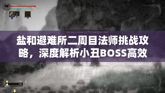 盐和避难所二周目法师挑战攻略，深度解析小丑BOSS高效打法