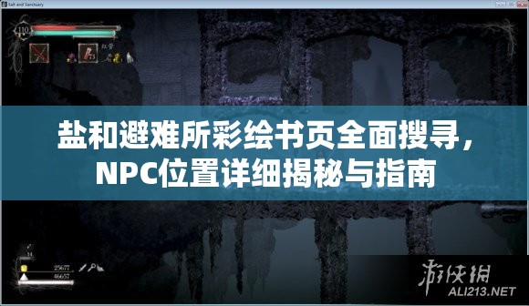 盐和避难所彩绘书页全面搜寻，NPC位置详细揭秘与指南