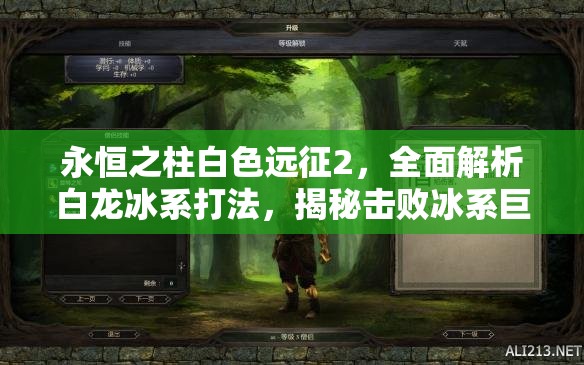 永恒之柱白色远征2，全面解析白龙冰系打法，揭秘击败冰系巨龙的必胜策略