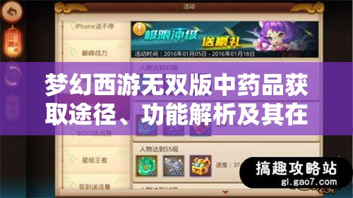 梦幻西游无双版中药品获取途径、功能解析及其在资源管理中的重要性及高效利用策略