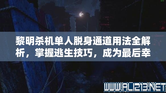 黎明杀机单人脱身通道用法全解析，掌握逃生技巧，成为最后幸存者