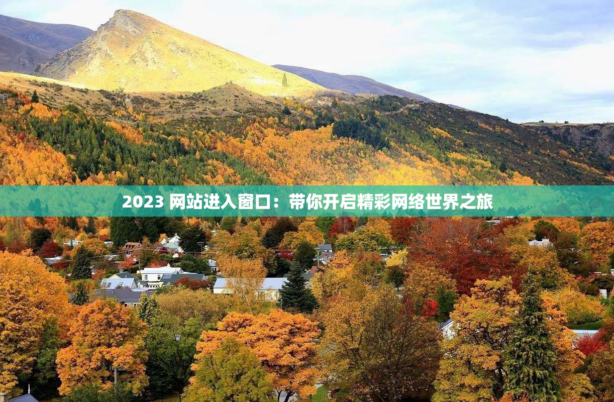 2023 网站进入窗口：带你开启精彩网络世界之旅