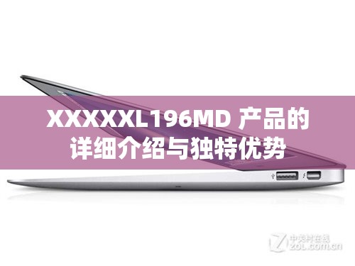 XXXXXL196MD 产品的详细介绍与独特优势