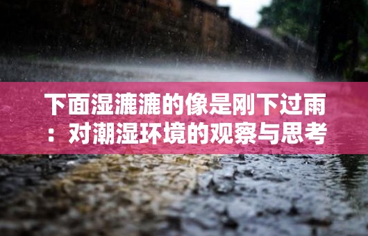 下面湿漉漉的像是刚下过雨：对潮湿环境的观察与思考