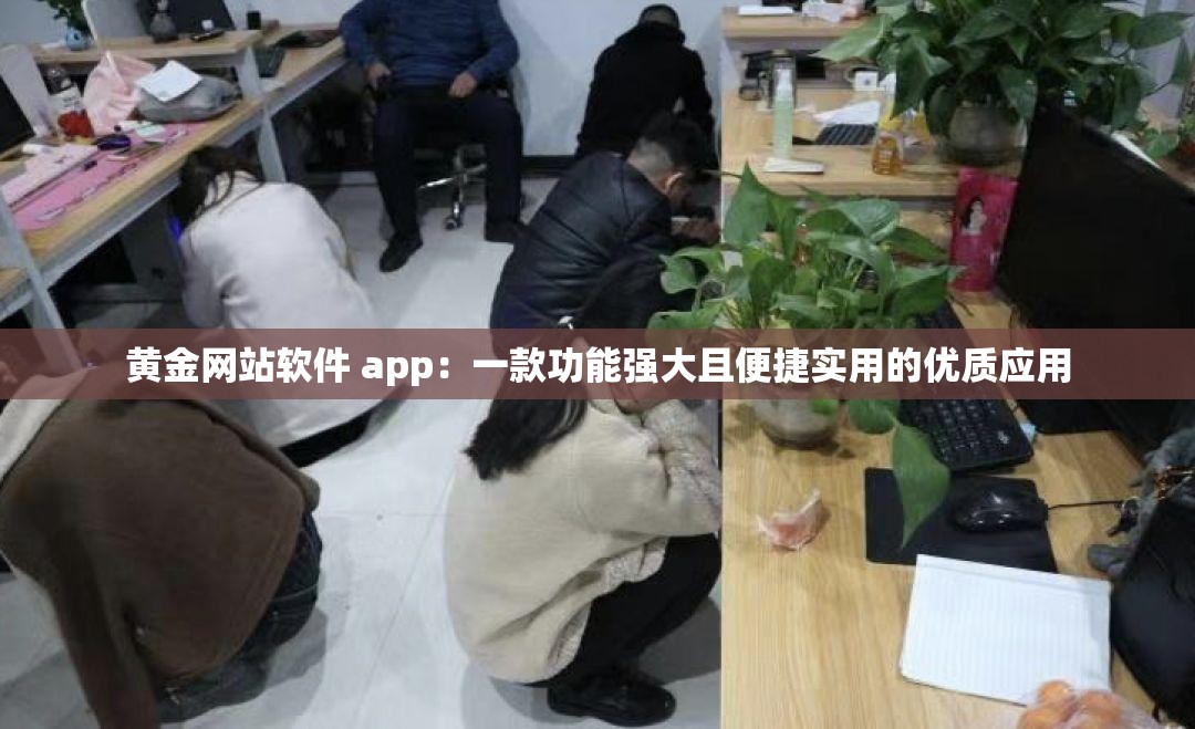 黄金网站软件 app：一款功能强大且便捷实用的优质应用