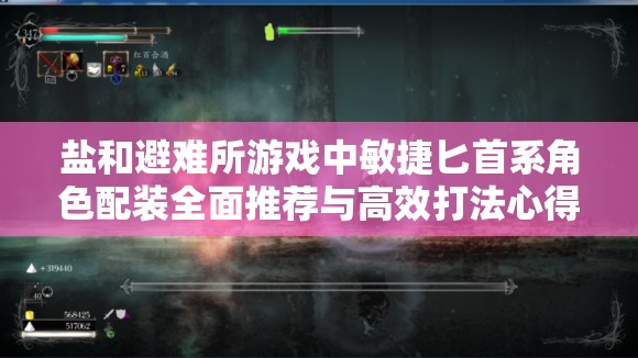 盐和避难所游戏中敏捷匕首系角色配装全面推荐与高效打法心得分享