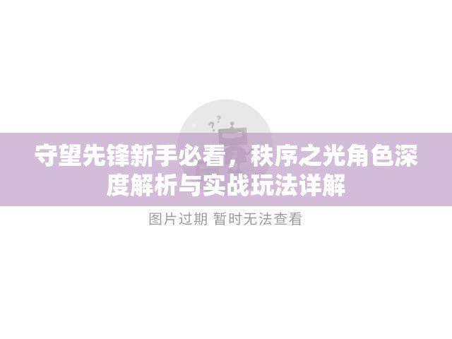 守望先锋新手必看，秩序之光角色深度解析与实战玩法详解