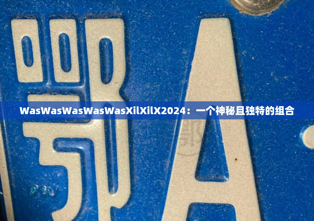 WasWasWasWasWasXilXilX2024：一个神秘且独特的组合