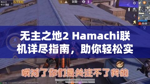 无主之地2 Hamachi联机详尽指南，助你轻松实现多人在线冒险之旅