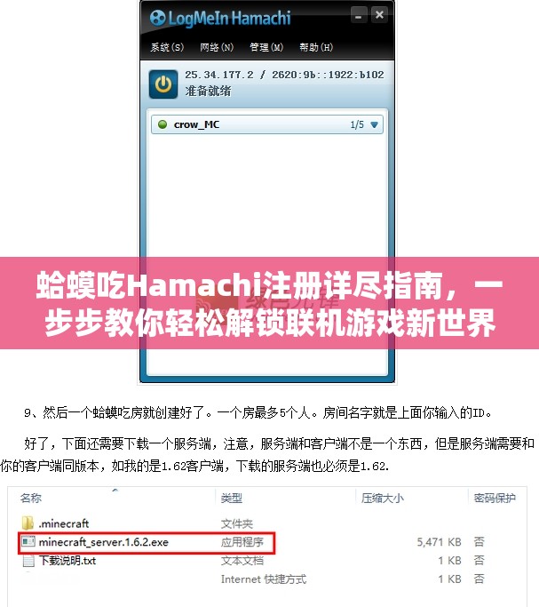 蛤蟆吃Hamachi注册详尽指南，一步步教你轻松解锁联机游戏新世界