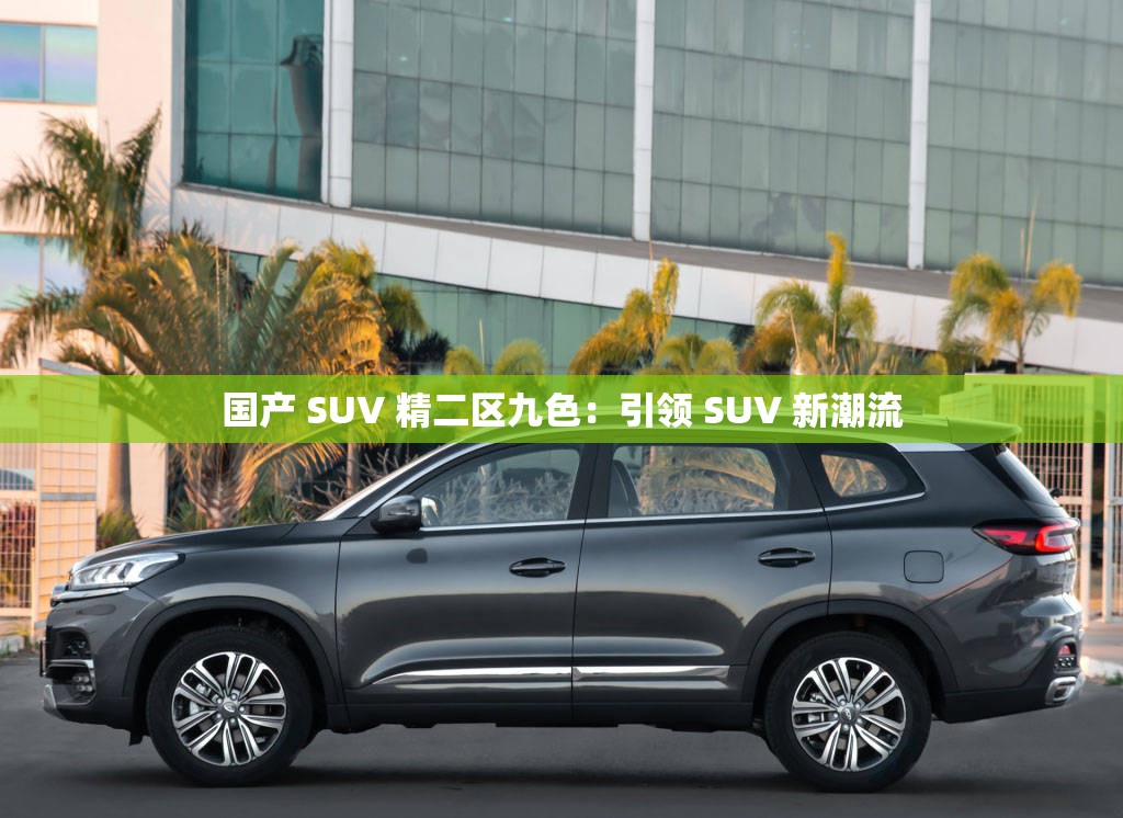 国产 SUV 精二区九色：引领 SUV 新潮流