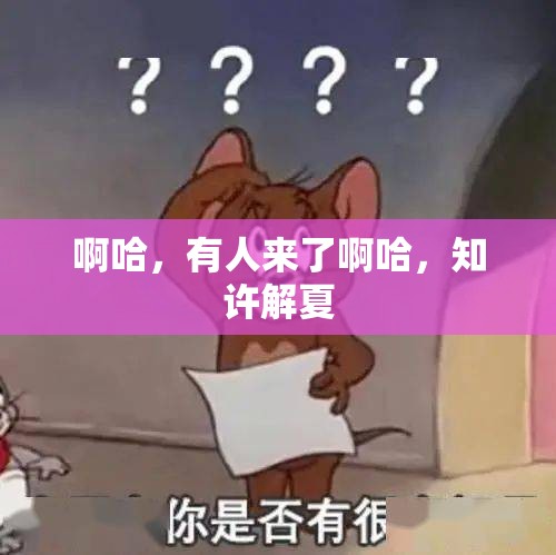 啊哈，有人来了啊哈，知许解夏