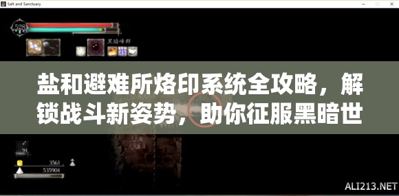 盐和避难所烙印系统全攻略，解锁战斗新姿势，助你征服黑暗世界