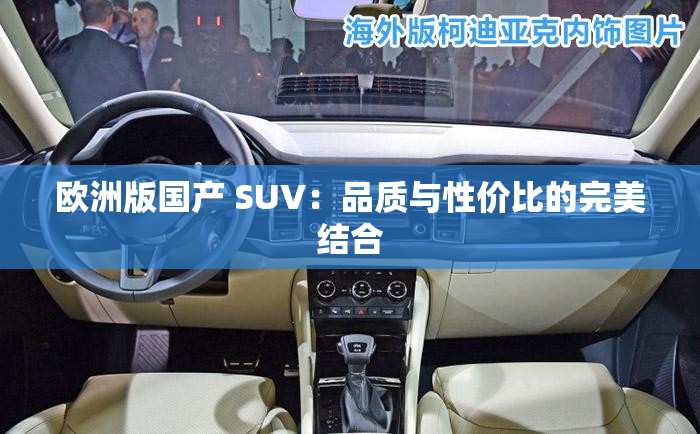 欧洲版国产 SUV：品质与性价比的完美结合