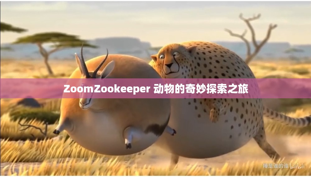 ZoomZookeeper 动物的奇妙探索之旅