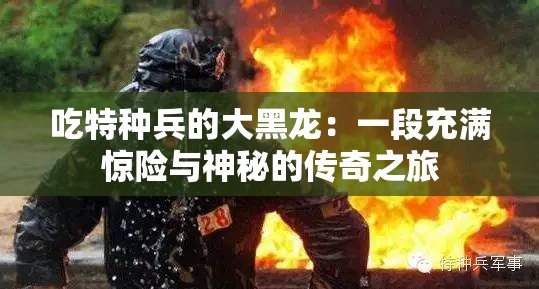 吃特种兵的大黑龙：一段充满惊险与神秘的传奇之旅