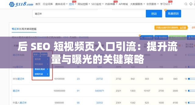 后 SEO 短视频页入口引流：提升流量与曝光的关键策略