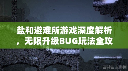 盐和避难所游戏深度解析，无限升级BUG玩法全攻略