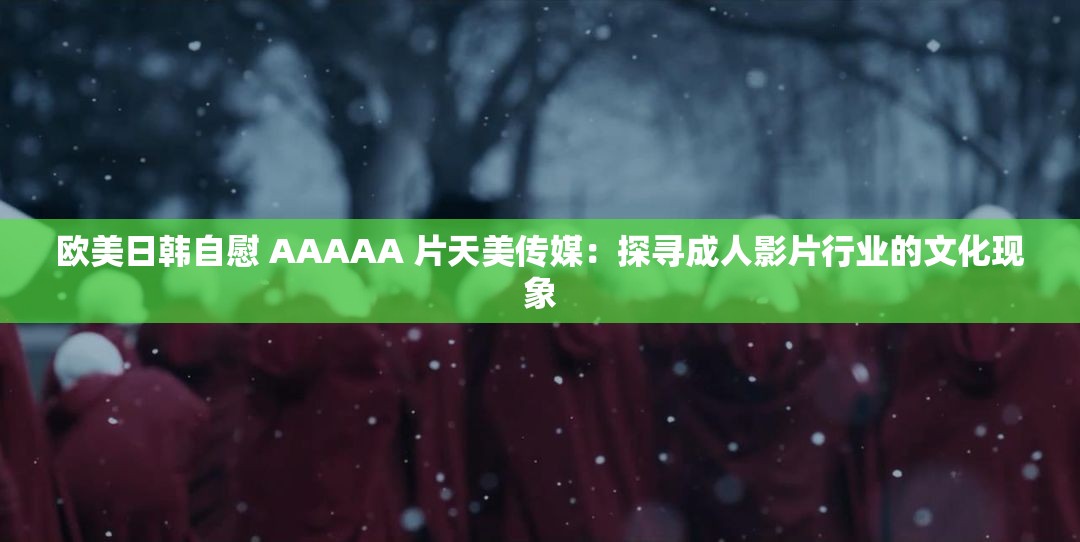 欧美日韩自慰 AAAAA 片天美传媒：探寻成人影片行业的文化现象