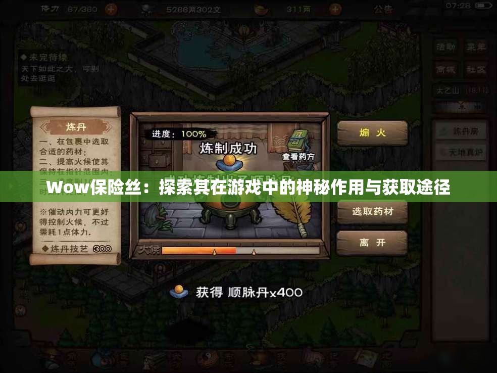 Wow保险丝：探索其在游戏中的神秘作用与获取途径