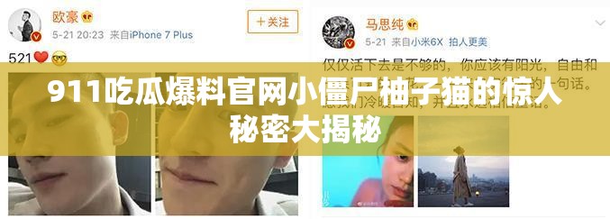 911吃瓜爆料官网小僵尸柚子猫的惊人秘密大揭秘