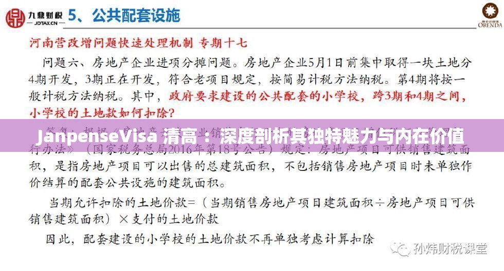 JanpenseVisa 清高 ：深度剖析其独特魅力与内在价值