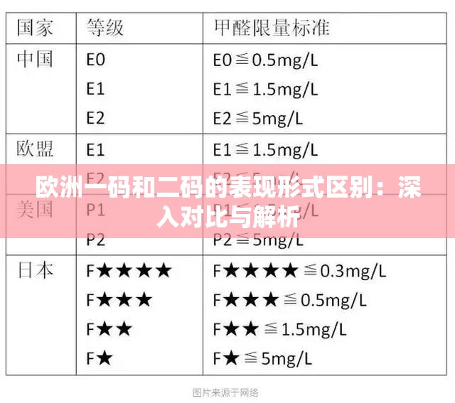 欧洲一码和二码的表现形式区别：深入对比与解析