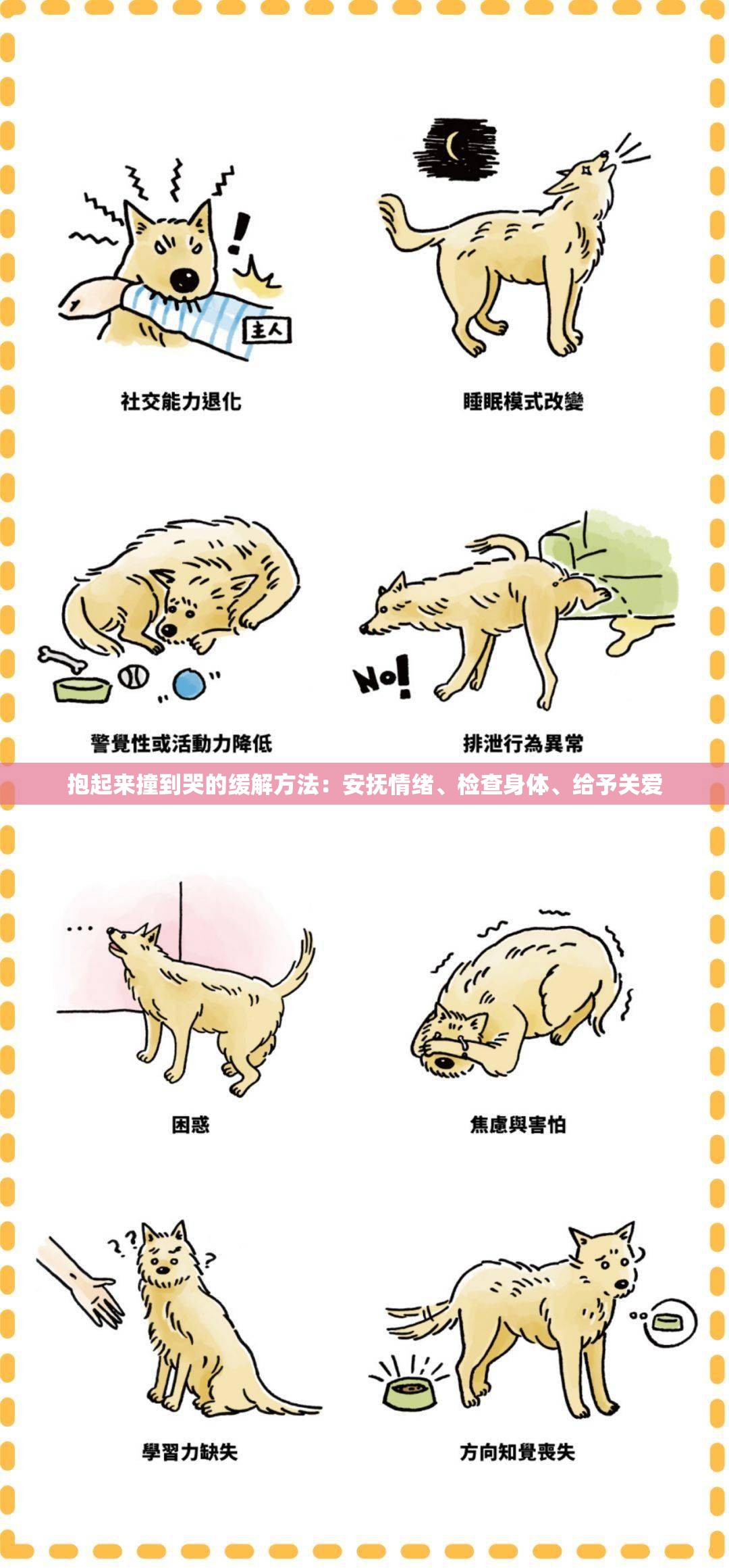 抱起来撞到哭的缓解方法：安抚情绪、检查身体、给予关爱