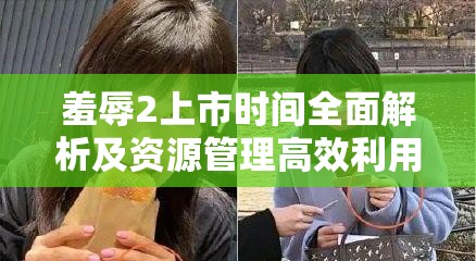 羞辱2上市时间全面解析及资源管理高效利用与价值最大化攻略